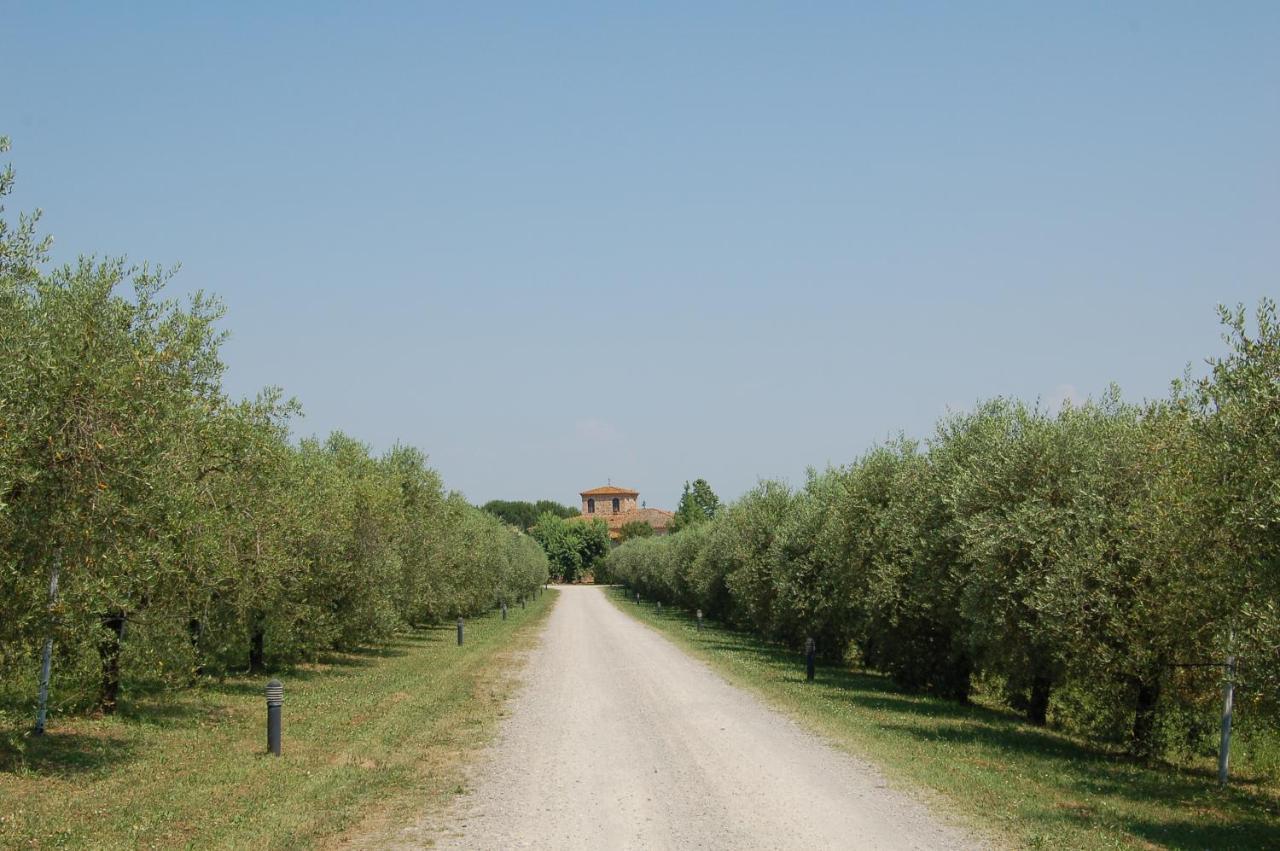 Agriturismo Il Selvino Terricciola Eksteriør billede