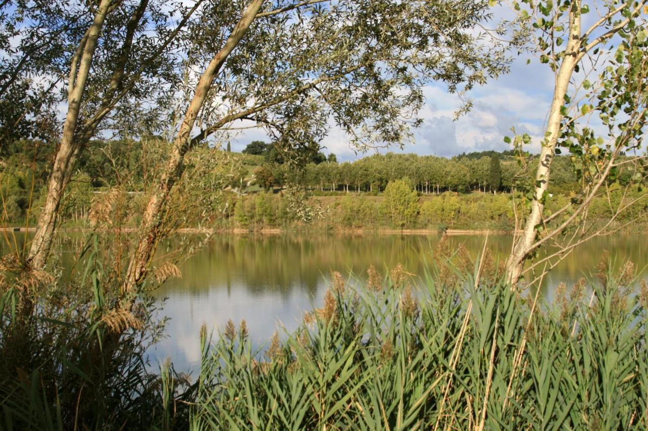 Agriturismo Il Selvino Terricciola Eksteriør billede