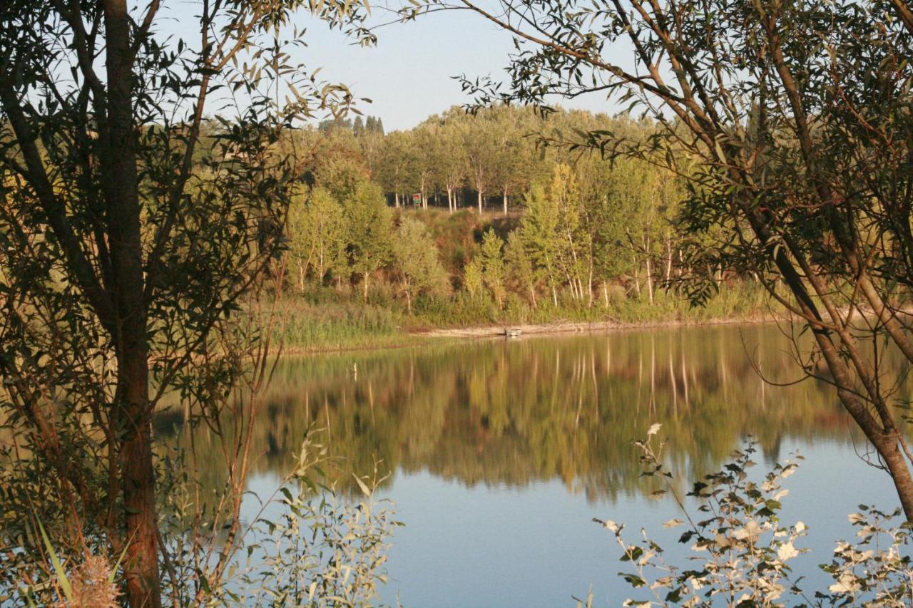Agriturismo Il Selvino Terricciola Eksteriør billede
