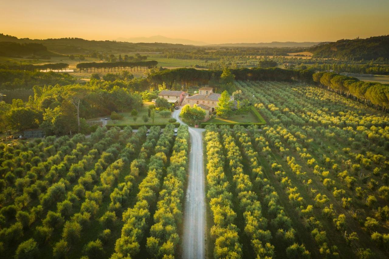 Agriturismo Il Selvino Terricciola Eksteriør billede